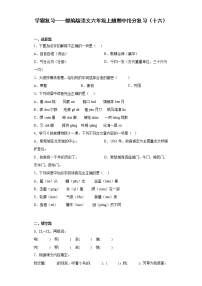 学霸复习——部编版语文六年级上册期中抢分复习（十六）