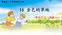 人教部编版三年级上册16 金色的草地示范课ppt课件