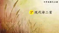 小学语文人教部编版四年级上册秋晚的江上教案配套ppt课件