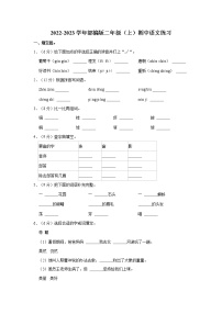 2022-2023学年部编版二年级（上）期中语文练习 (10)（含答案）