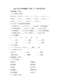 2022-2023学年部编版二年级（上）期中语文练习 (11)（含答案）