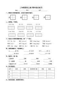 统编版二年级上册 语文期中综合练习 （无答案）