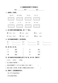 语文二年级上册课文414 我要的是葫芦精练