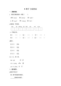 人教部编版一年级上册课文 25 影子测试题