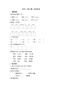 小学语文人教部编版二年级上册2 树之歌精练