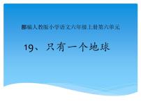 小学语文19 只有一个地球授课课件ppt