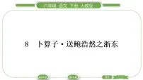 人教部编版六年级下册8 卜算子·送鲍浩然之浙东习题课件ppt