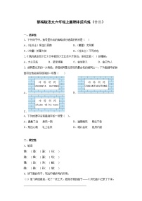 部编版语文六年级上册期末提高练（十二）