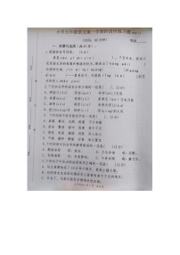 山东省青岛市西海岸新区2022-2023年五年级上学期期中语文试卷