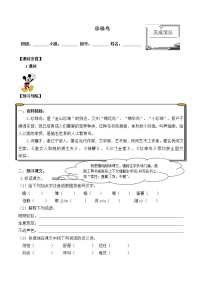 小学语文人教部编版五年级上册第一单元4* 珍珠鸟导学案