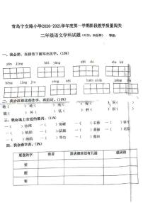 山东省青岛市宁安路小学2020-2021学年二年级上学期期中语文试卷（PDF版 无答案）