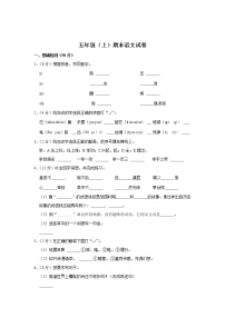 期末模试卷（试题）-部编版语文五年级上册   (9)