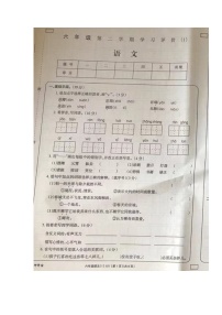 山东省菏泽市单县湖西学校2021-2022学年六年级下学期期中学习评价语文试题