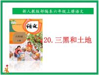 小学语文人教部编版六年级上册21* 三黑和土地精品ppt课件