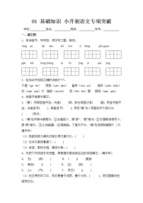 2022年部编版小升初语文专项突破 01 基础知识（含答案）