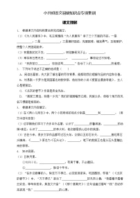 部编版语文六下 小升初语文易错知识点专项集训A卷 课文理解（试题+答案）