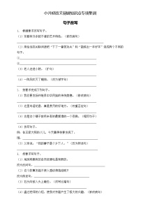 部编版语文六下 小升初语文易错知识点专项集训B卷 句子改写（试题+答案）