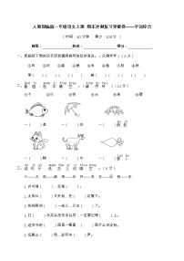 【期末冲刺复习】部编版语文一年级上册——字词综合（含答案）