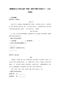 部编版语文六年级上册“双减”政策下期中专项复习——文言文阅读