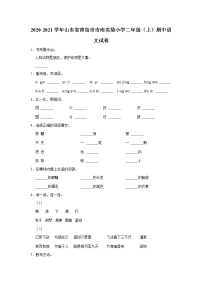 山东省青岛市市南实验小学2020-2021学年 二年级（上）期中语文试卷