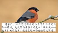 人教部编版三年级上册25 灰雀课堂教学ppt课件