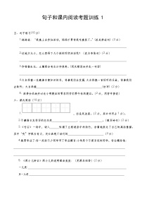 人教版部编本六年级下册语文期末复习毕业考试《句子和课内阅读》考题训练1