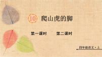 人教部编版四年级上册10 爬山虎的脚课文课件ppt