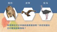 小学语文人教部编版五年级上册第二单元7 什么比猎豹的速度更快课文内容课件ppt
