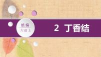 人教部编版六年级上册第一单元2 丁香结课文配套课件ppt