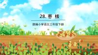 小学人教部编版28* 枣核教课内容课件ppt