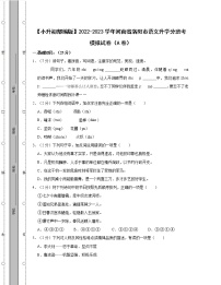 【小升初部编版】2022-2023学年河南省洛阳市语文升学分班考模拟试卷AB卷（含解析）