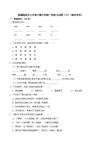 部编版语文六年级下册小升初一轮复习试题（八）（陕西专用）