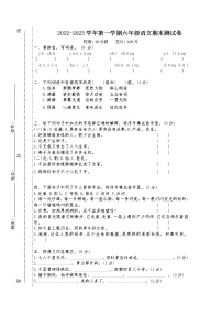 2022-2023年部编版语文六上寒假巩固提高卷（三）