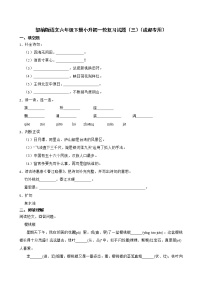 部编版语文六年级下册小升初一轮复习试题（三）（成都专用）