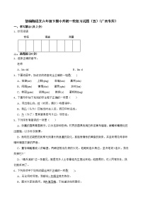 部编版语文六年级下册小升初一轮复习试题（五）（广西专用）