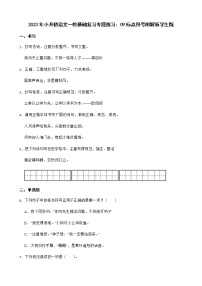 2023年小升初语文一轮基础复习专题练习:09标点符号附解析学生版