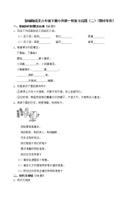 部编版语文六年级下册小升初一轮复习试题（二）（郑州专用）