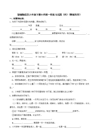 部编版语文六年级下册小升初一轮复习试题（四）（肥城专用）