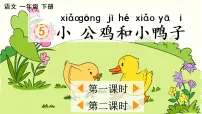 人教部编版一年级下册4 小公鸡和小鸭子多媒体教学ppt课件