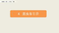 小学语文人教部编版三年级下册4* 昆虫备忘录说课课件ppt