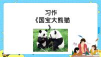 小学语文人教部编版三年级下册习作：国宝大熊猫精品课件ppt