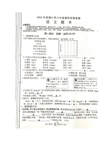 河南省南阳市淅川县2022-2023学年六年级上学期期末语文试卷（有答案）