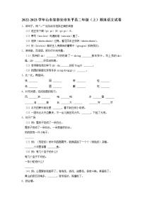 山东省泰安市东平县2022-2023学年二年级上学期期末语文试卷