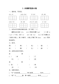 二年级下册课文13 开满鲜花的小路随堂练习题