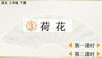 小学语文人教部编版三年级下册3 荷花图片课件ppt