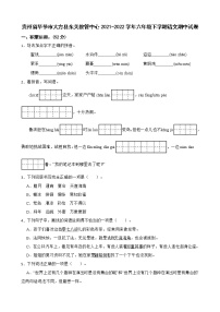 贵州省毕节市大方县东关教管中心2021-2022学年六年级下学期语文期中试卷