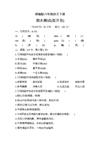 部编版六年级语文下册期末检测(提升卷)