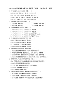 湖南省衡阳市高新区2022-2023学年三年级上学期期末语文试卷