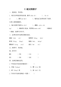 人教部编版五年级下册祖父的园子课时作业