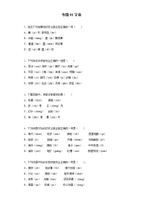 小学语文小升初试题   小升初高频考点必刷黄金100题专题01字音 （部编版，有答案）